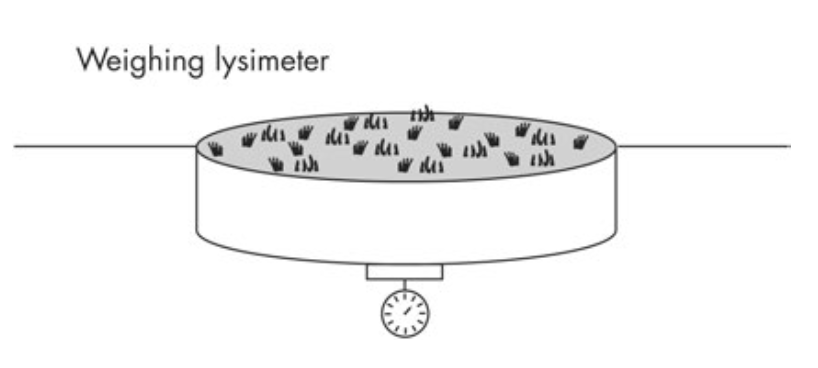 Weighing lysimeter