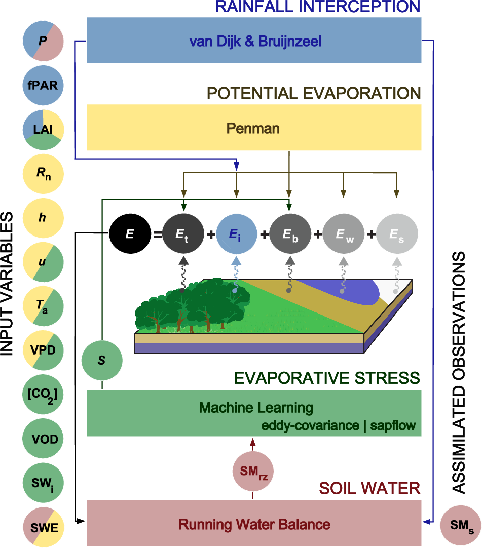 Input observations, model modules, and output fluxes in GLEAM4. GLEAM4 schematic