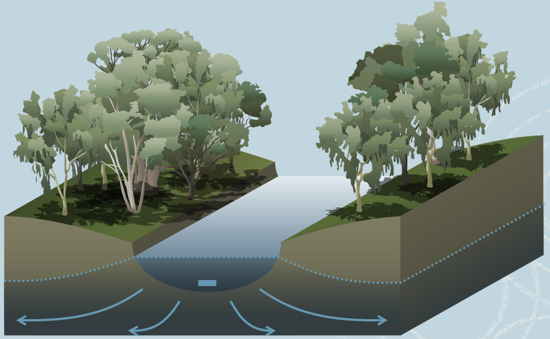 Wetland
