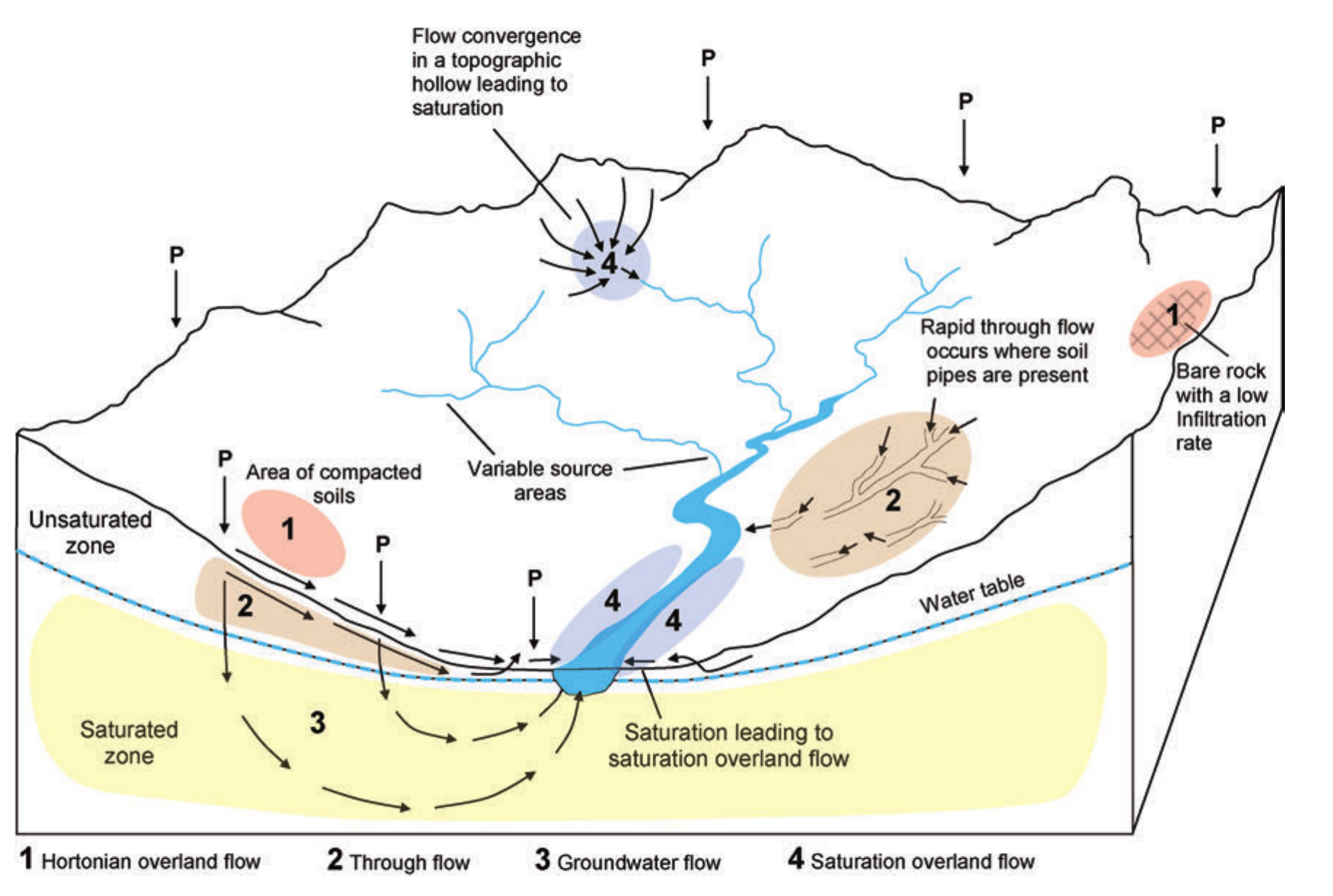 Runoff generation across a catchment