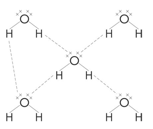 Hydrogen bonding between water molecules hydrogenbonding